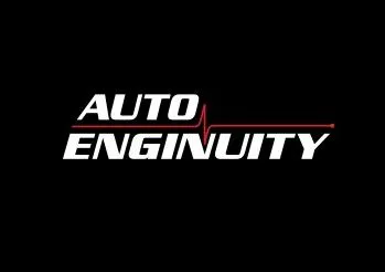 AutoEnginuity’s ScanTool